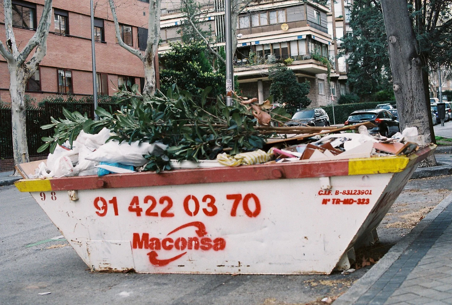 800810.JPG