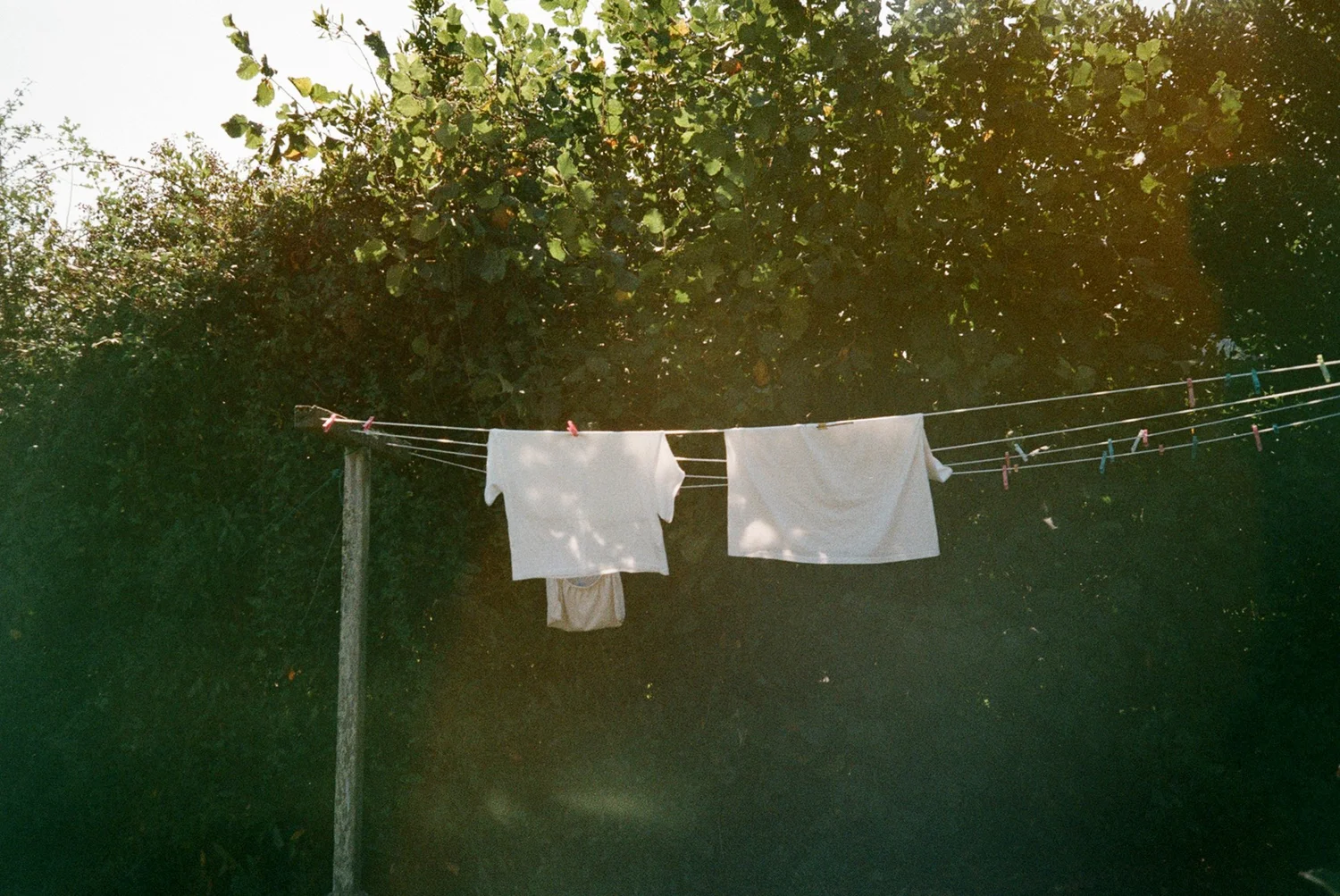 110449_010.jpg