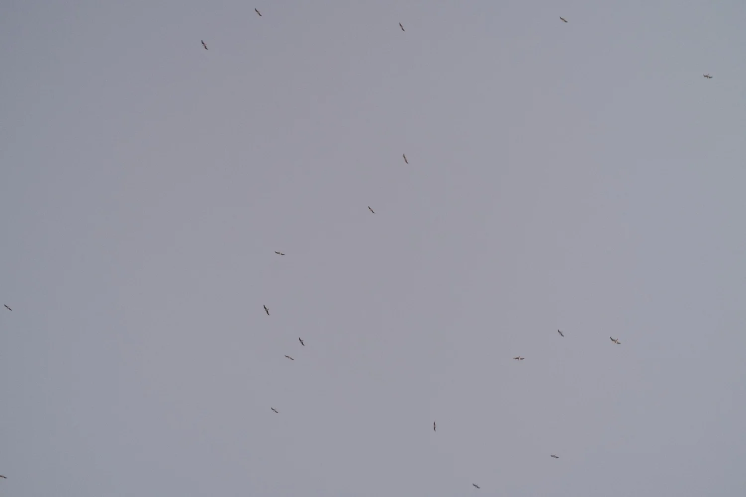 _DSF5354.jpg