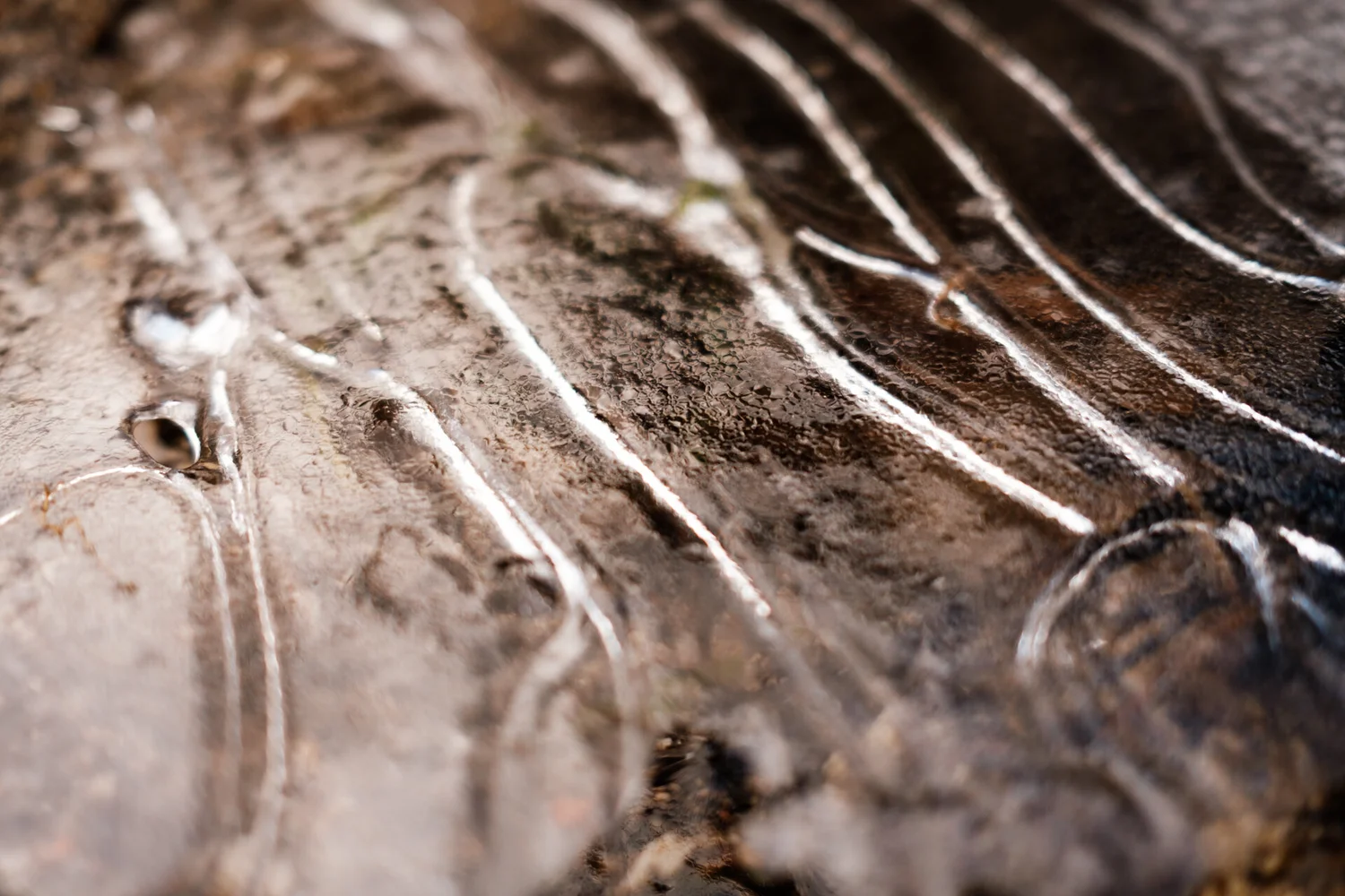 Las formas del hielo