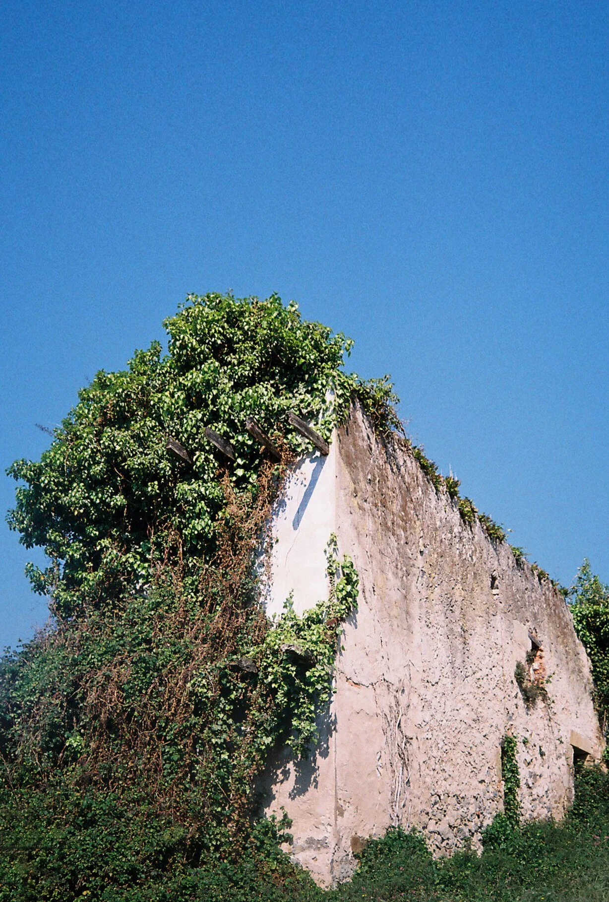 05.JPG