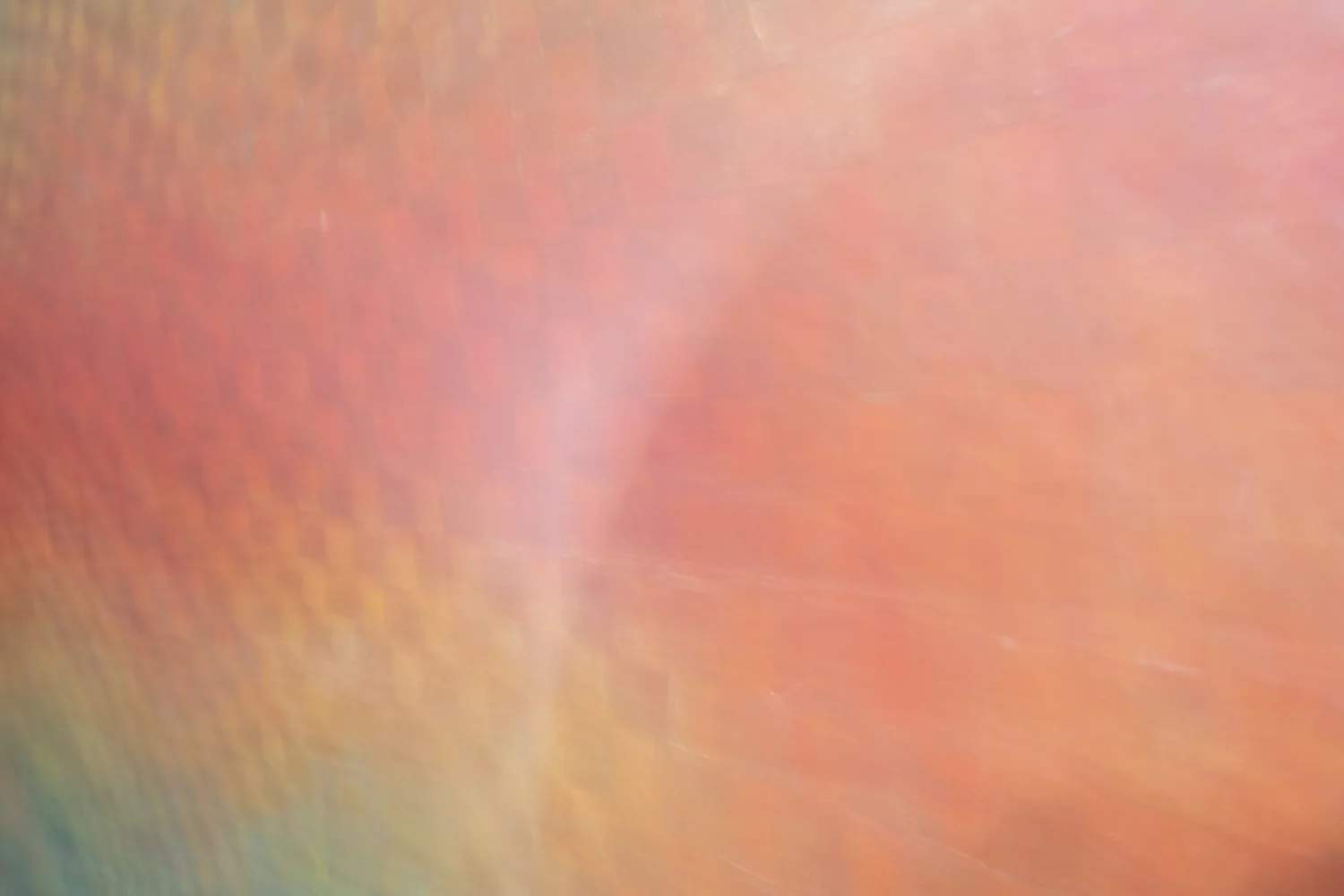 _DSF7809.jpg