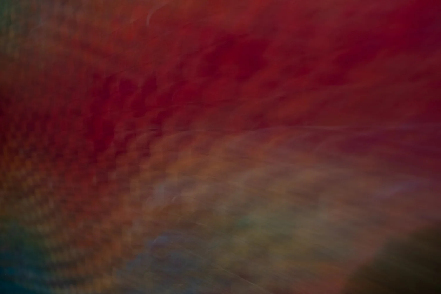 _DSF7810.jpg