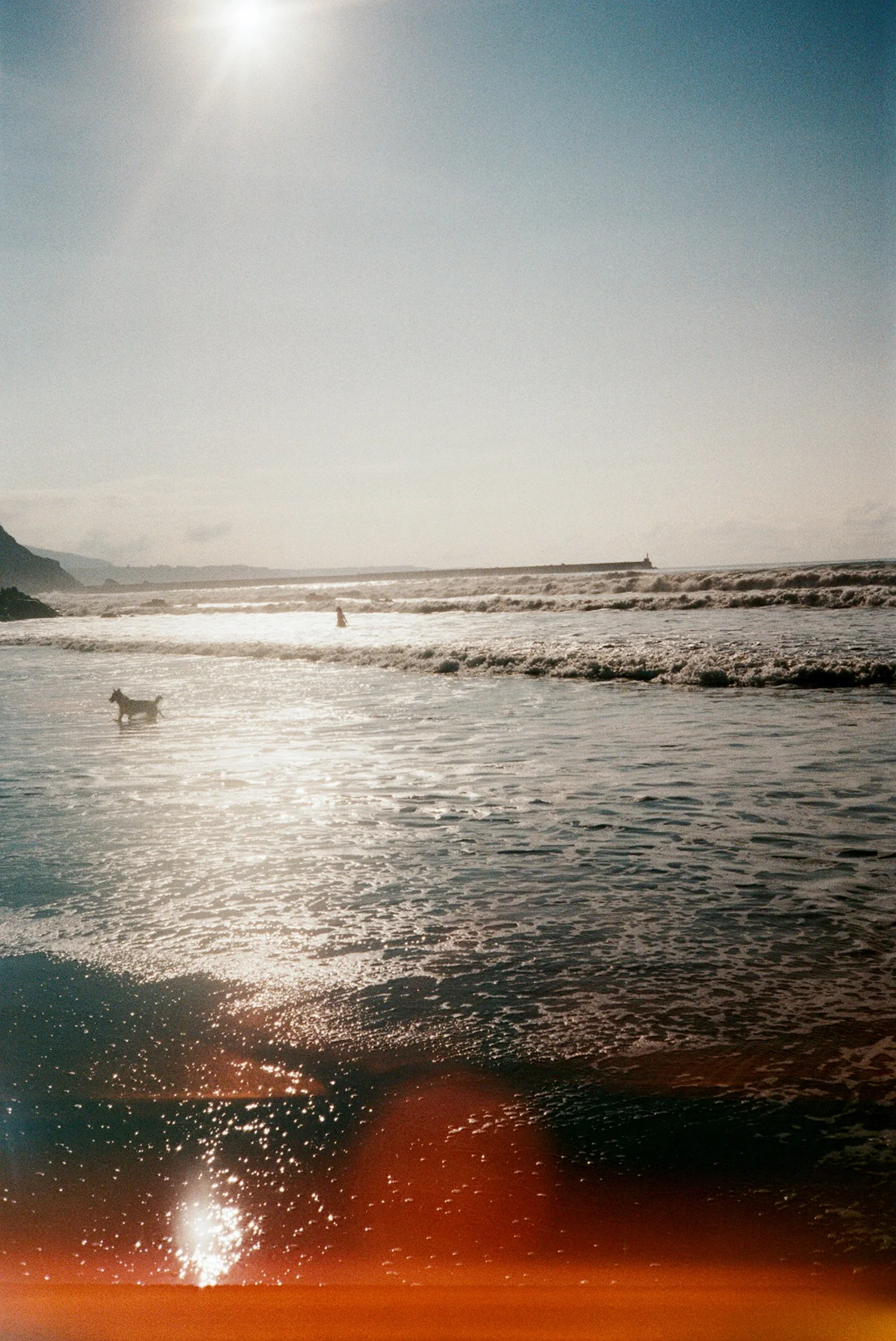 110449_018.jpg