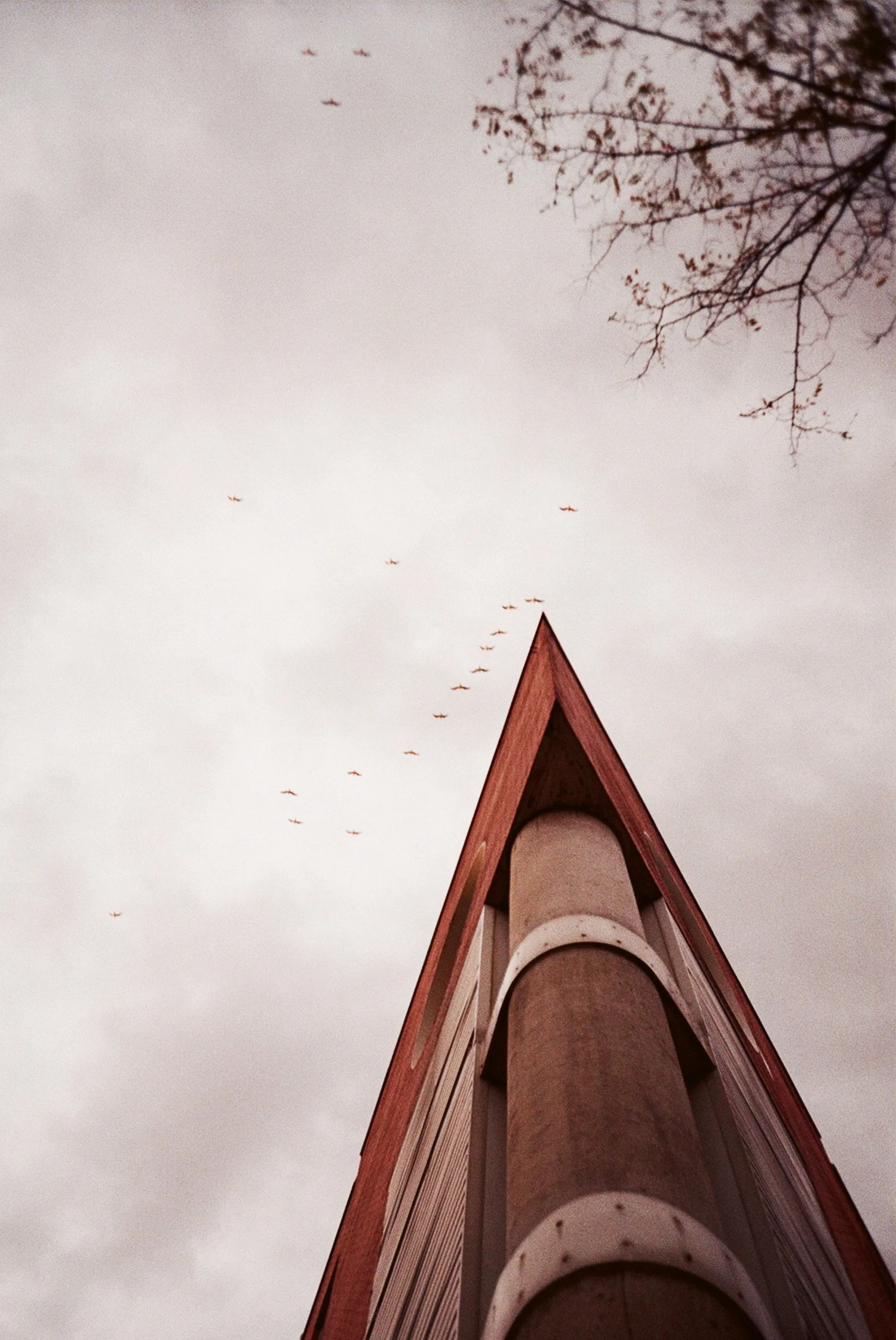 136571_027.jpg