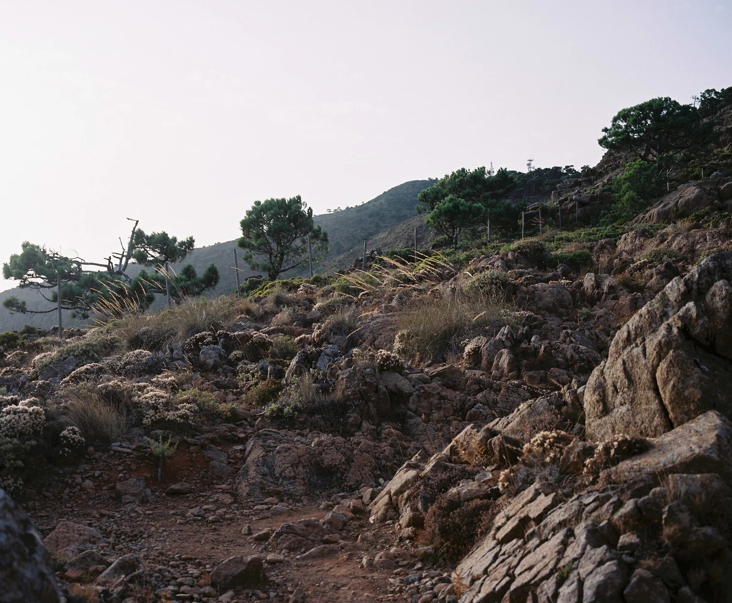 080001.JPG