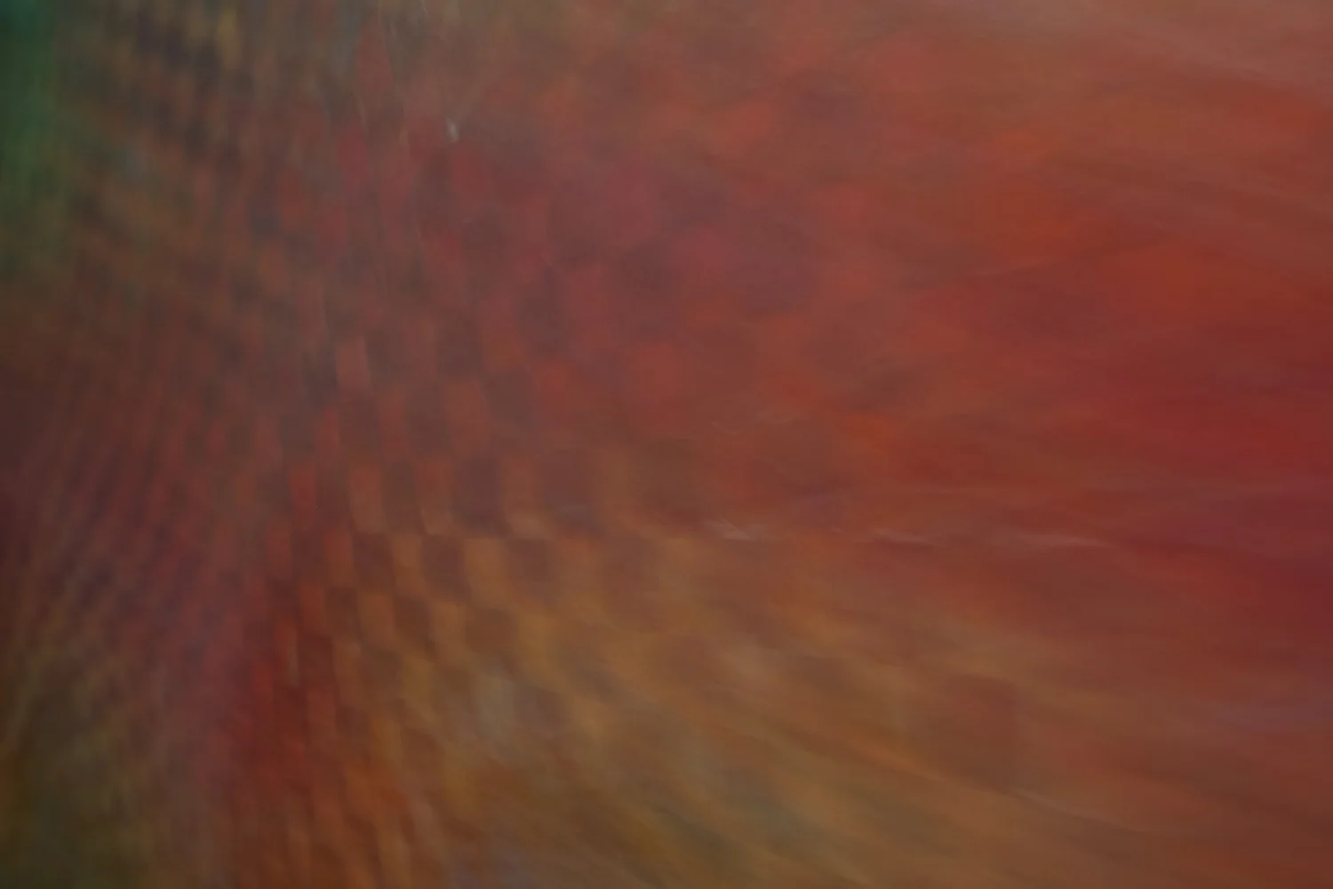 _DSF7811.jpg