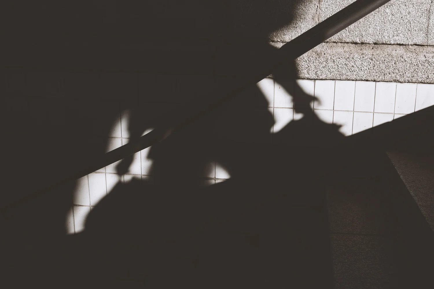 DSCF8777-Editar.jpg
