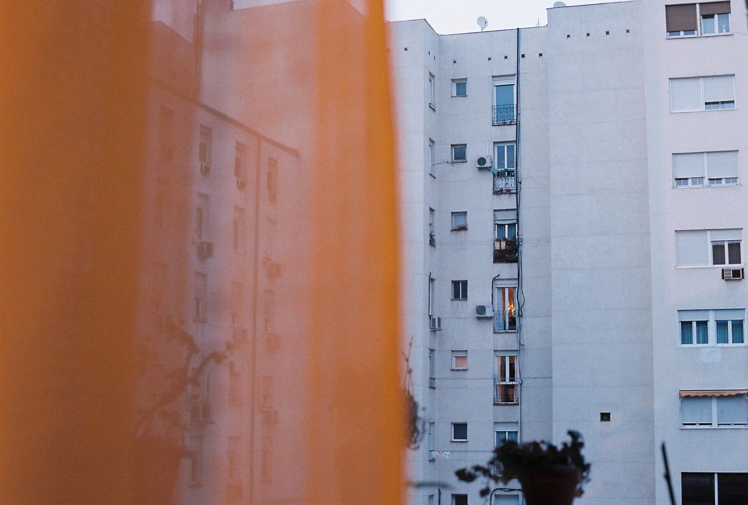 704719.JPG