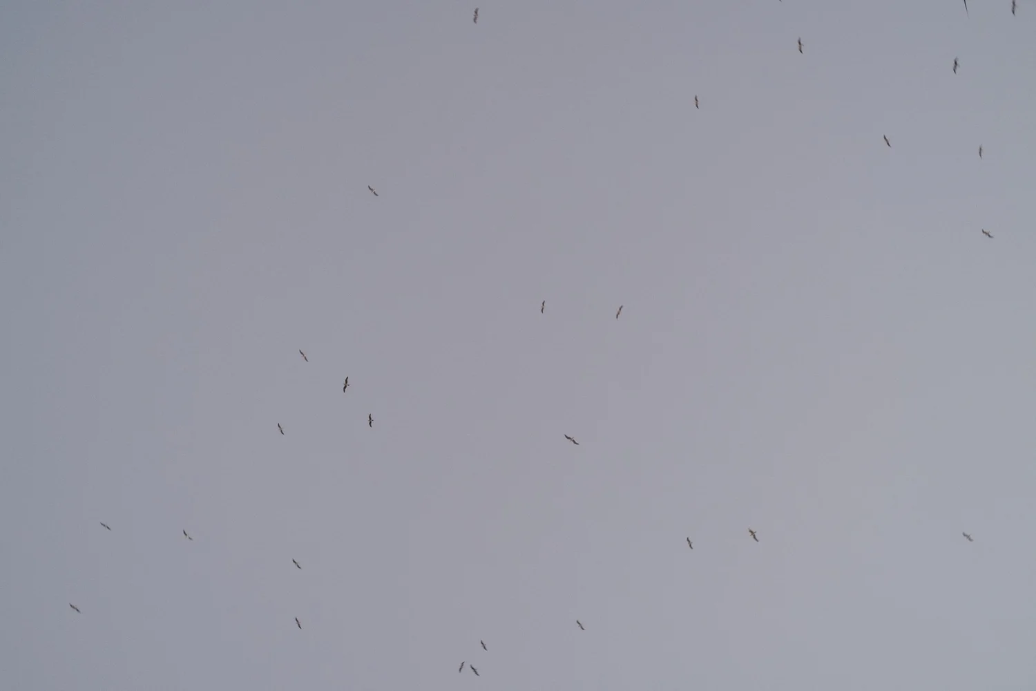 _DSF5352.jpg