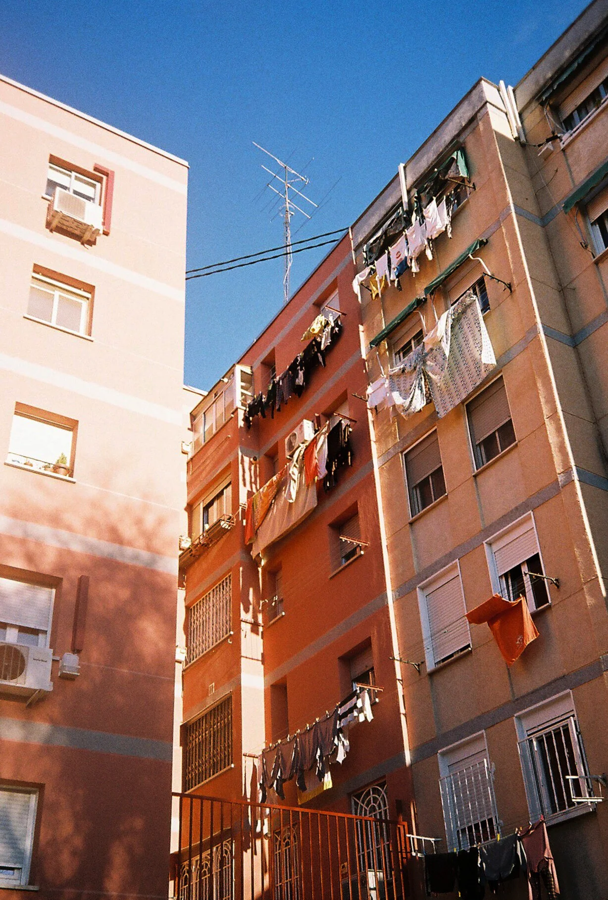 867537.JPG