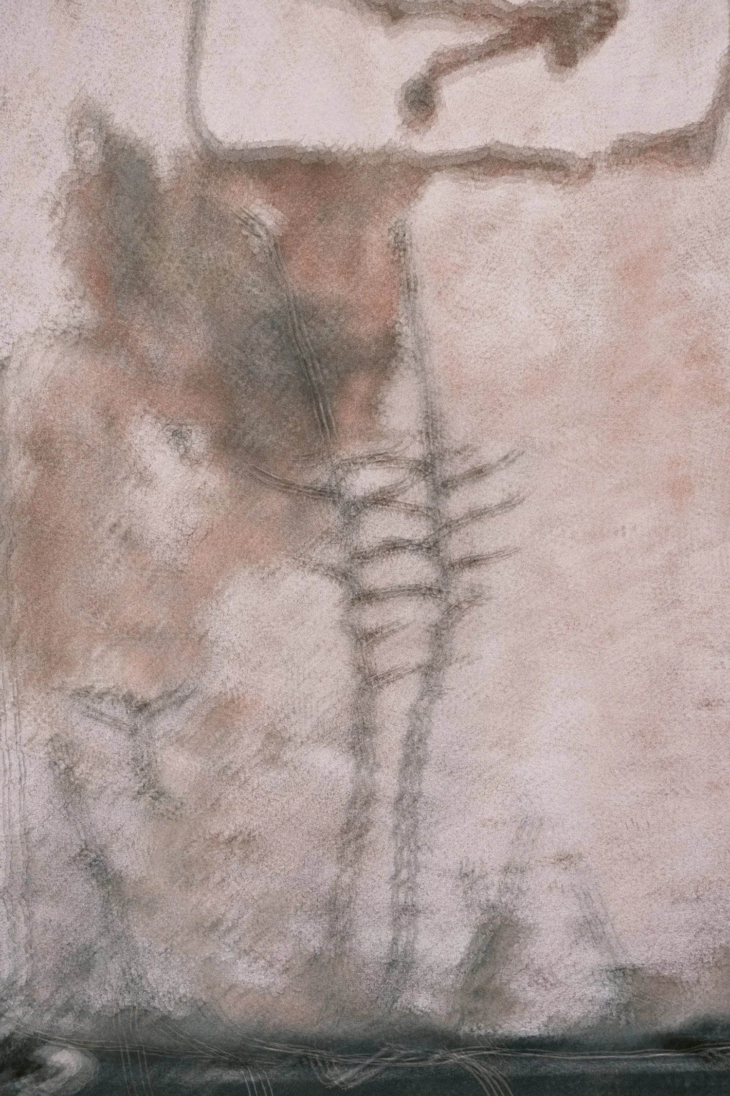 1639347356470.jpg
