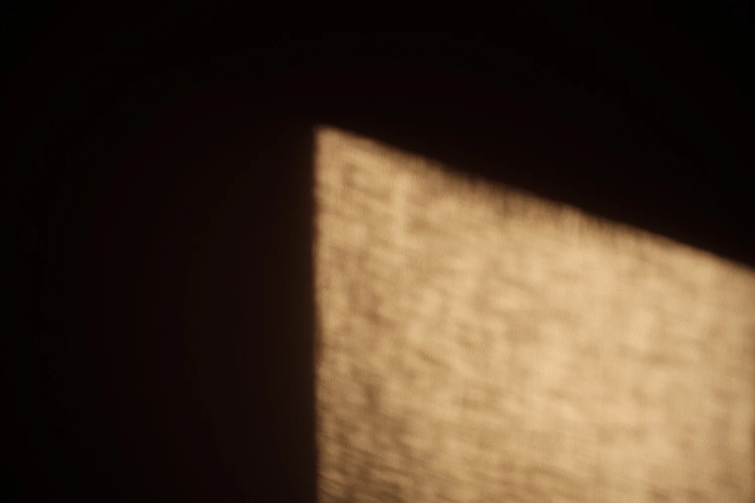 _DSF3499.jpg