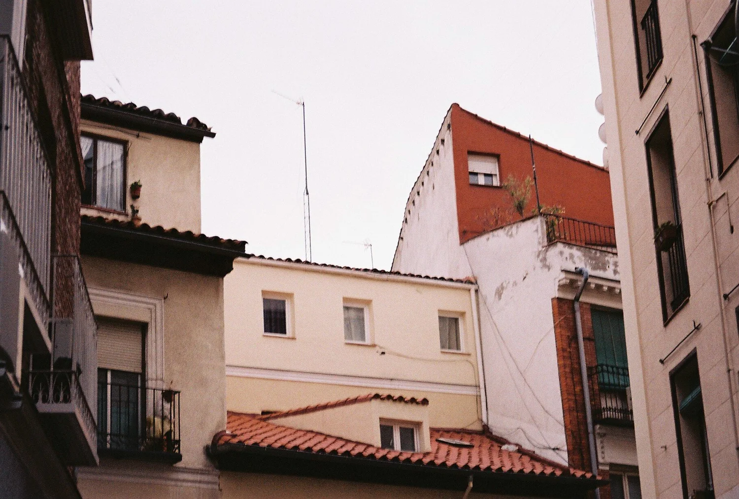 992719.JPG