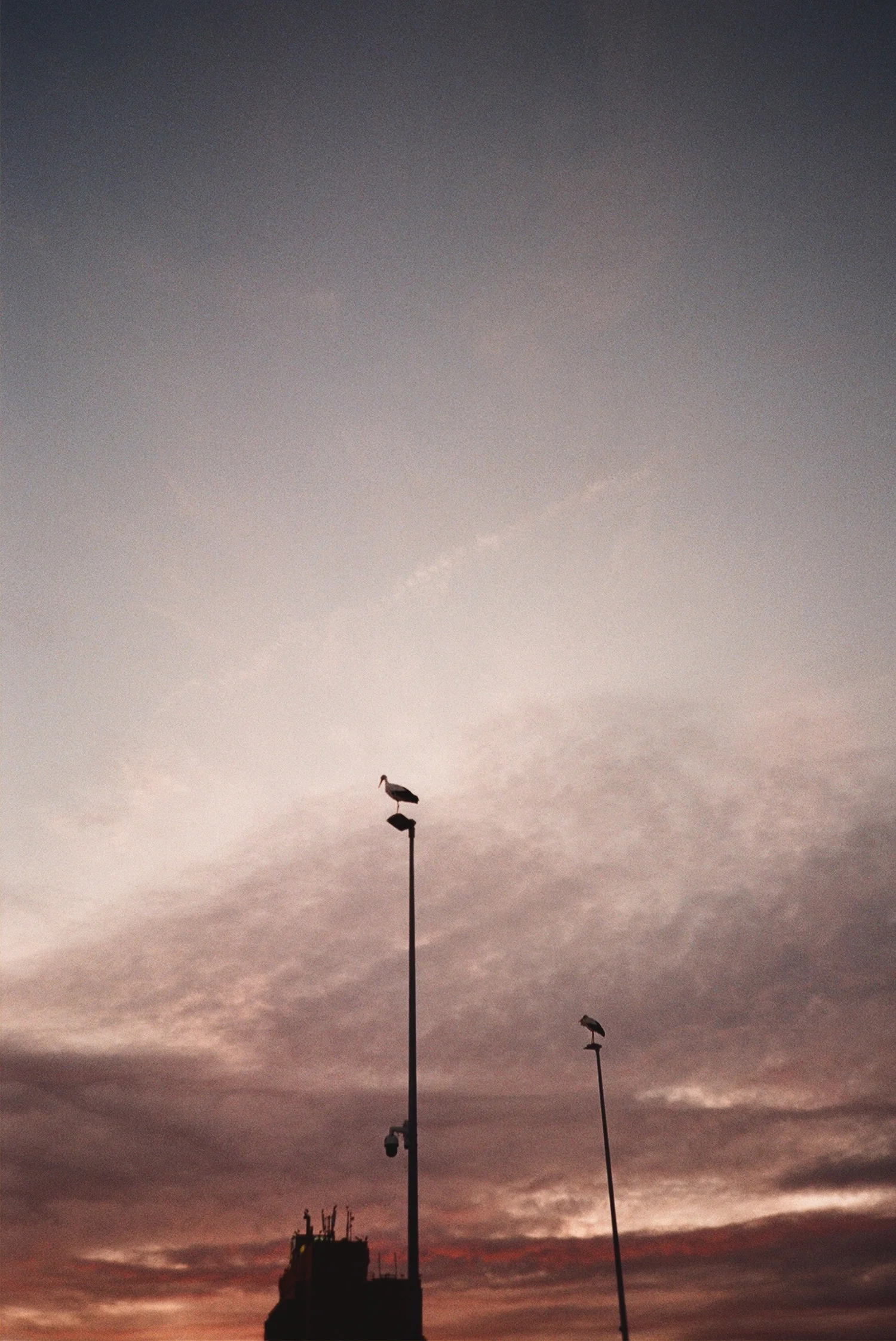 136571_024.jpg