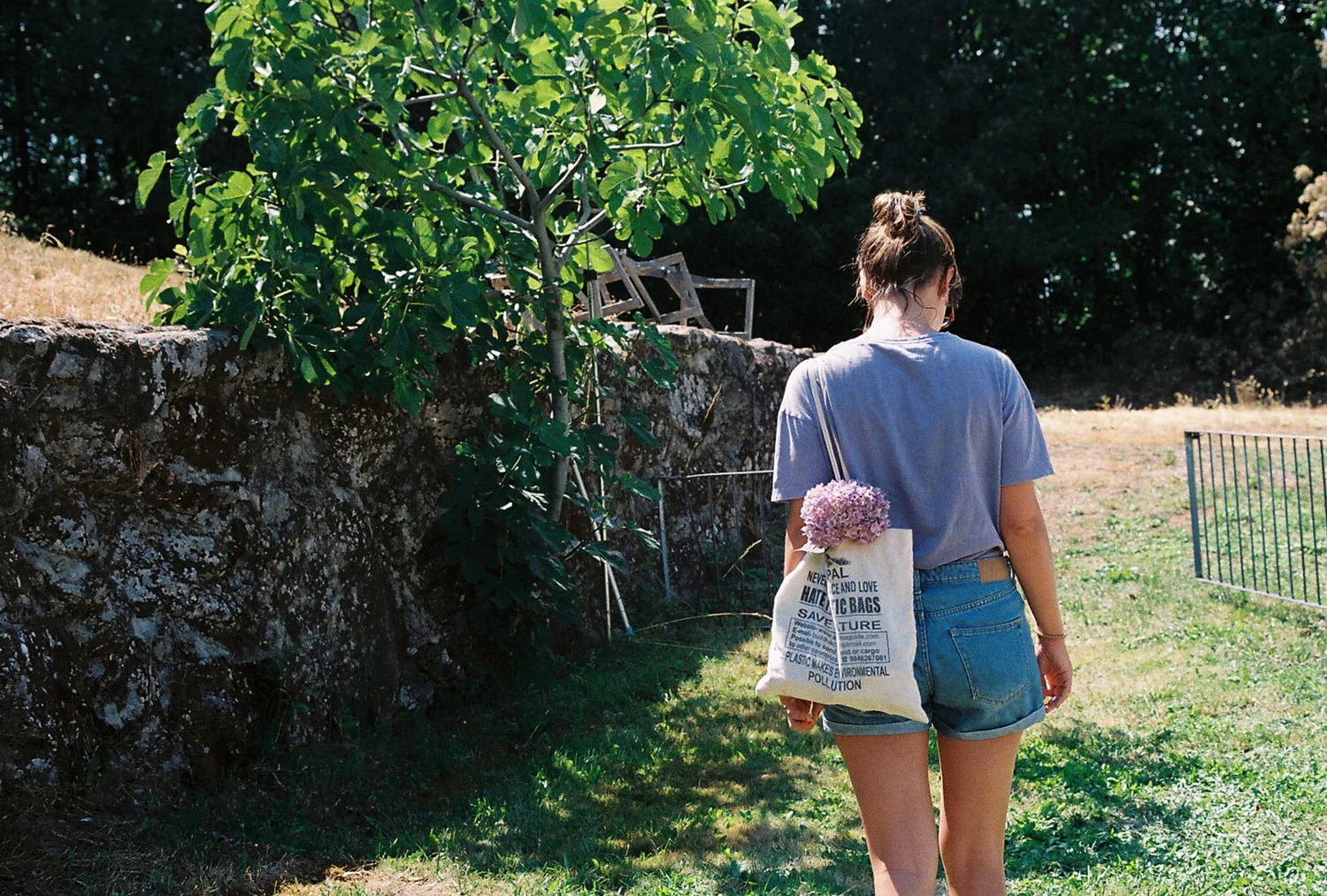 813220.JPG