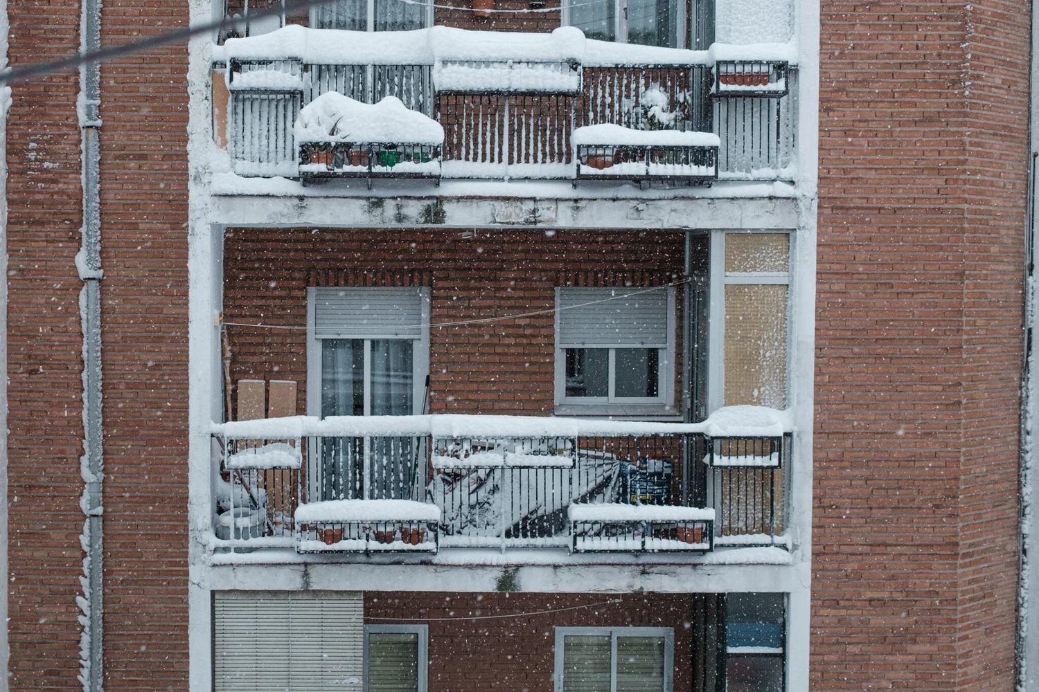 _DSF0679.jpg