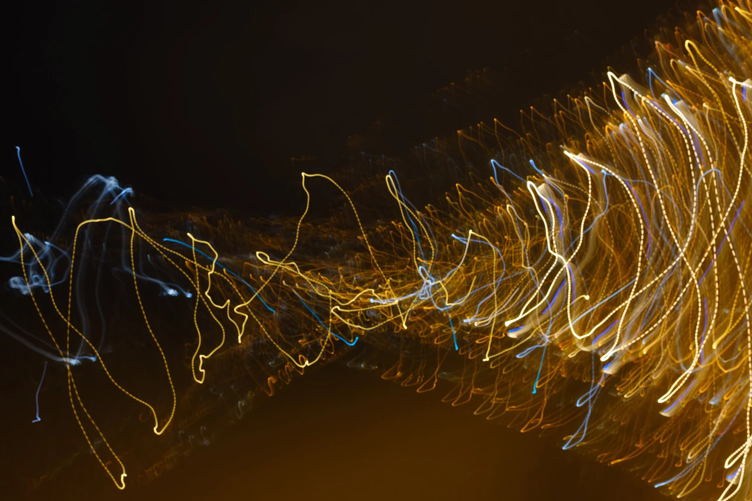 _DSF4466.jpg