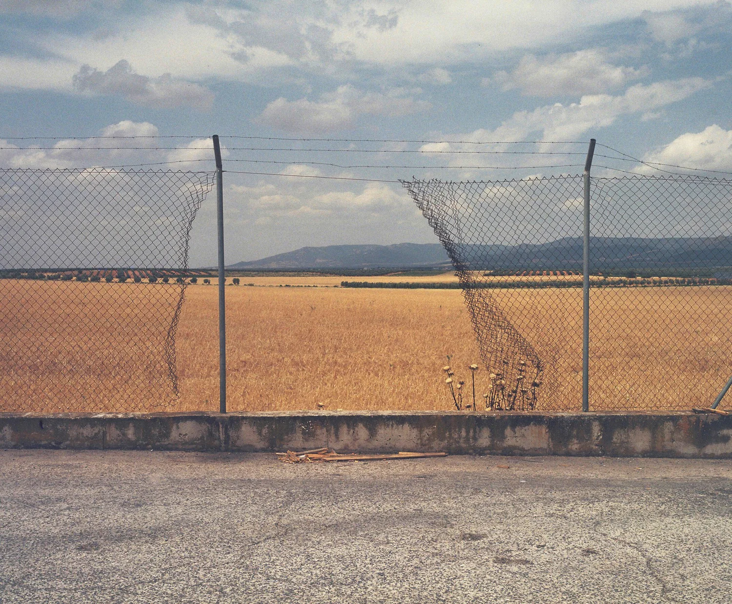 2160005 copia.jpg