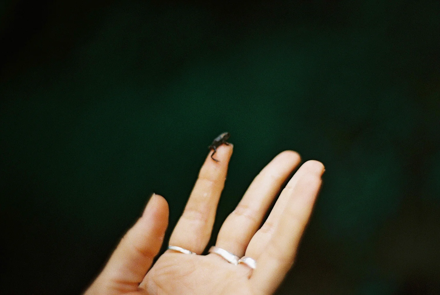 130878_46.JPG