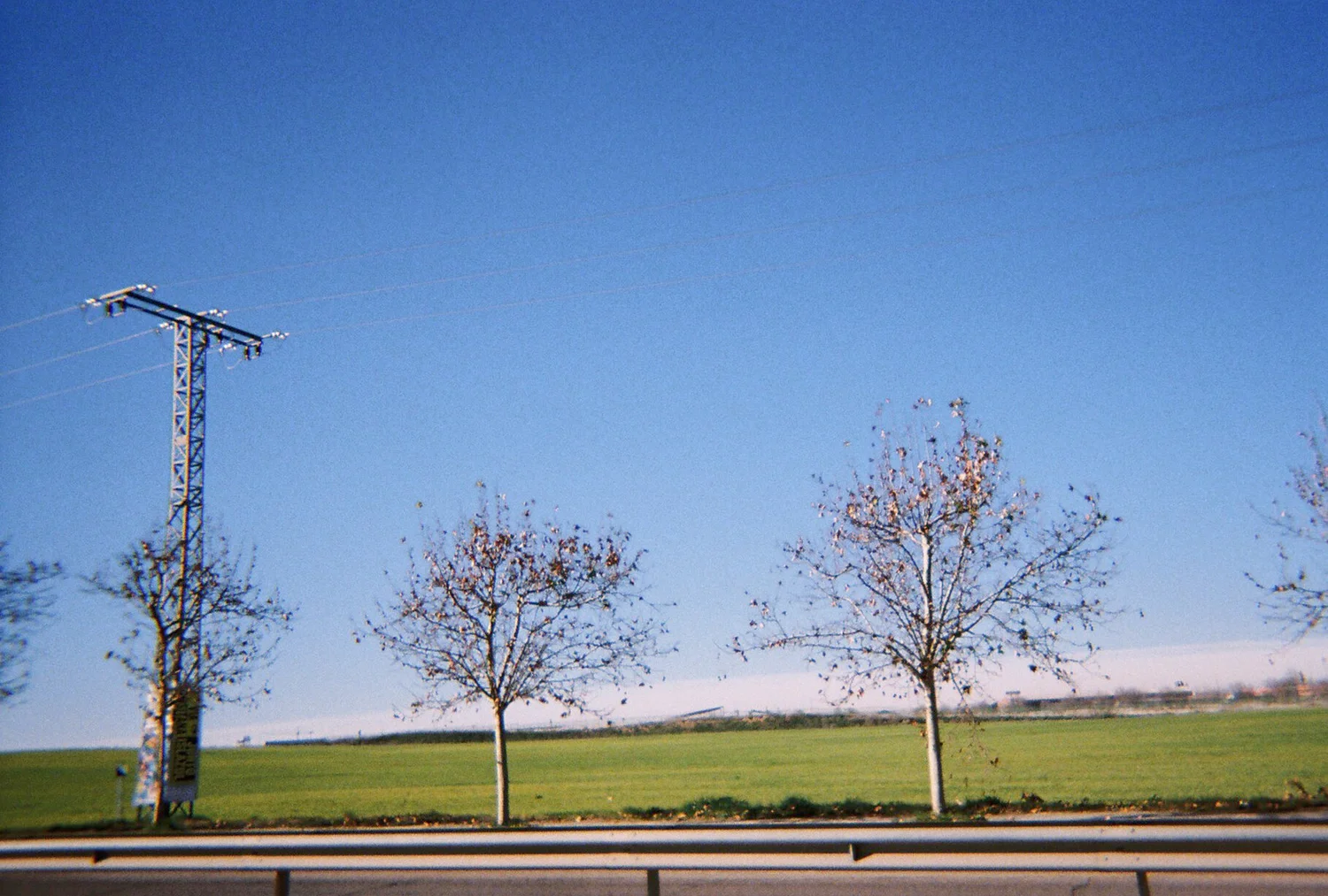 4694021.JPG