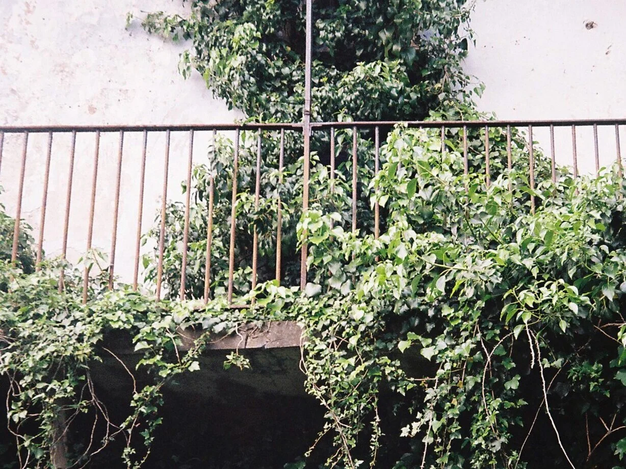 01.jpg
