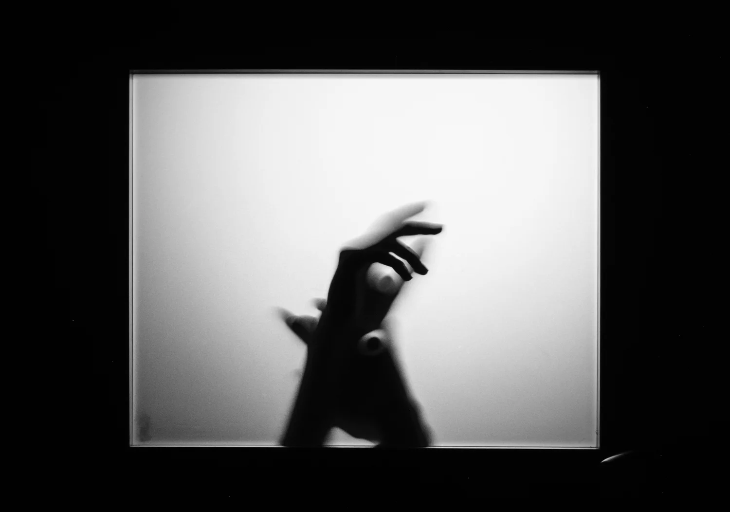 _DSF6872.jpg