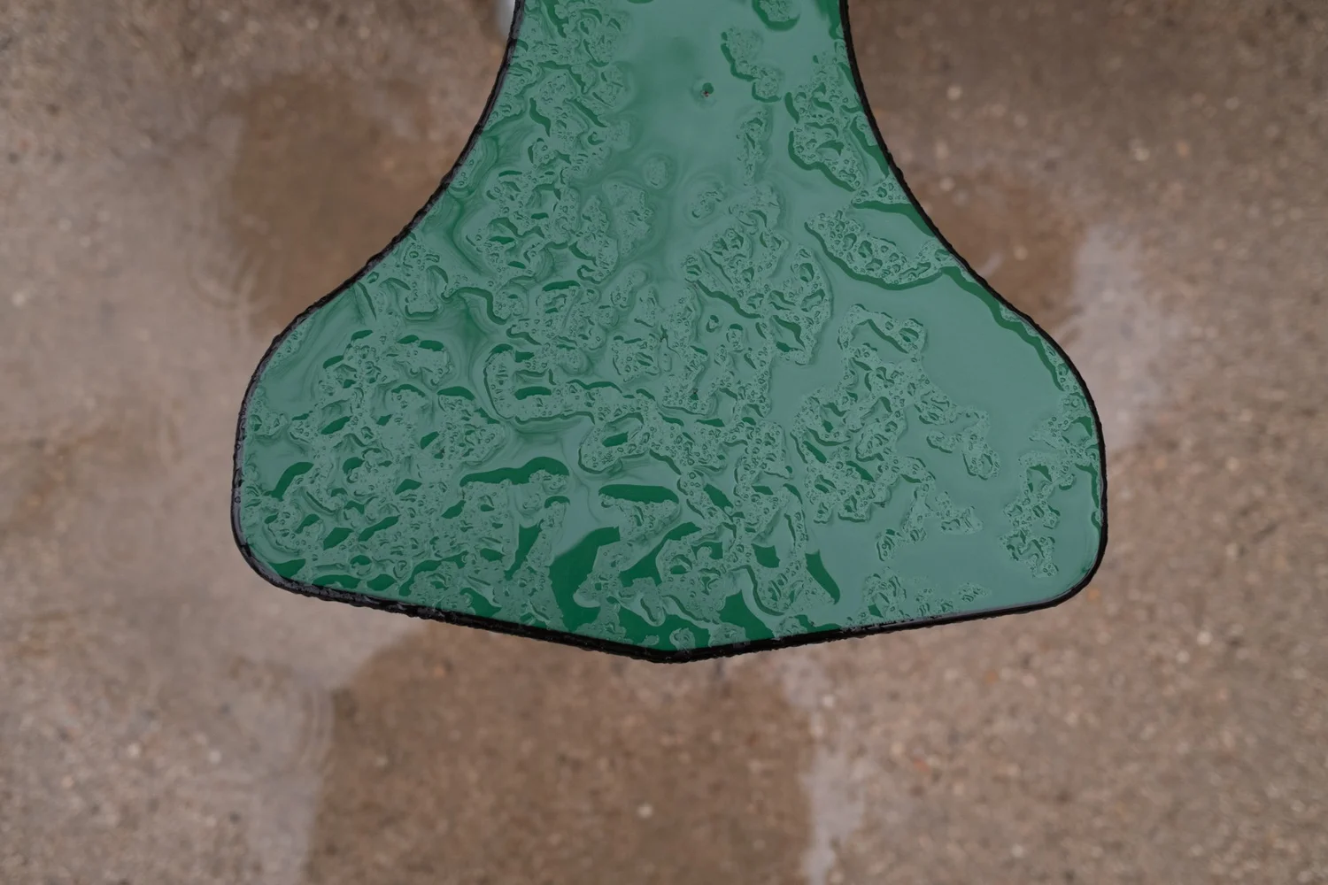 _DSF2450.jpg