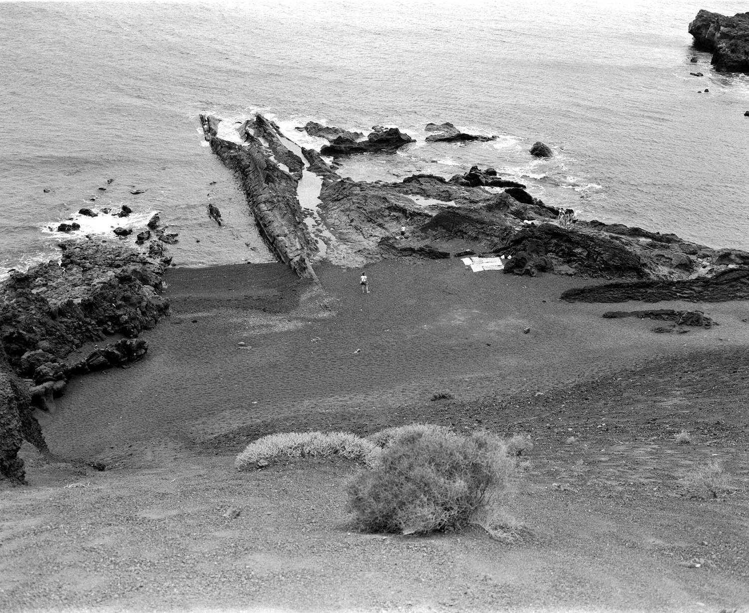 Scan 005.JPG