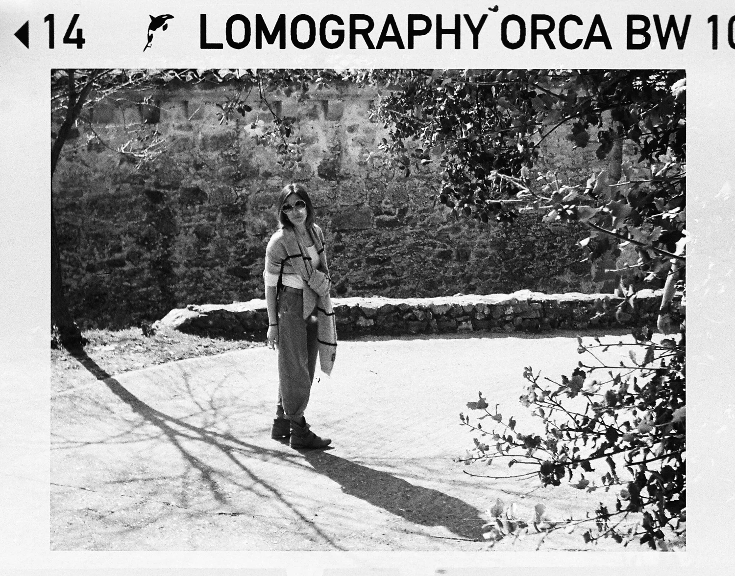 265408.JPG
