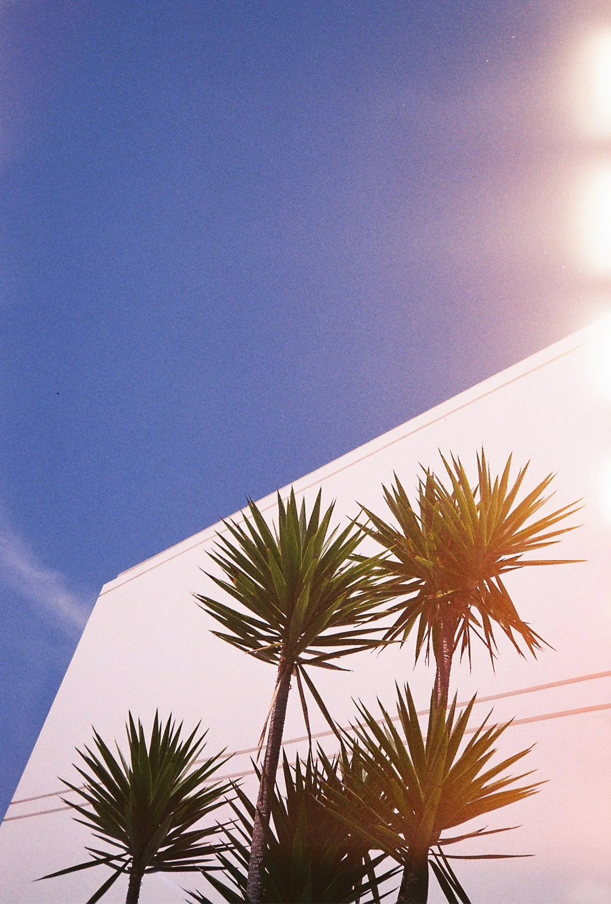 719104.JPG
