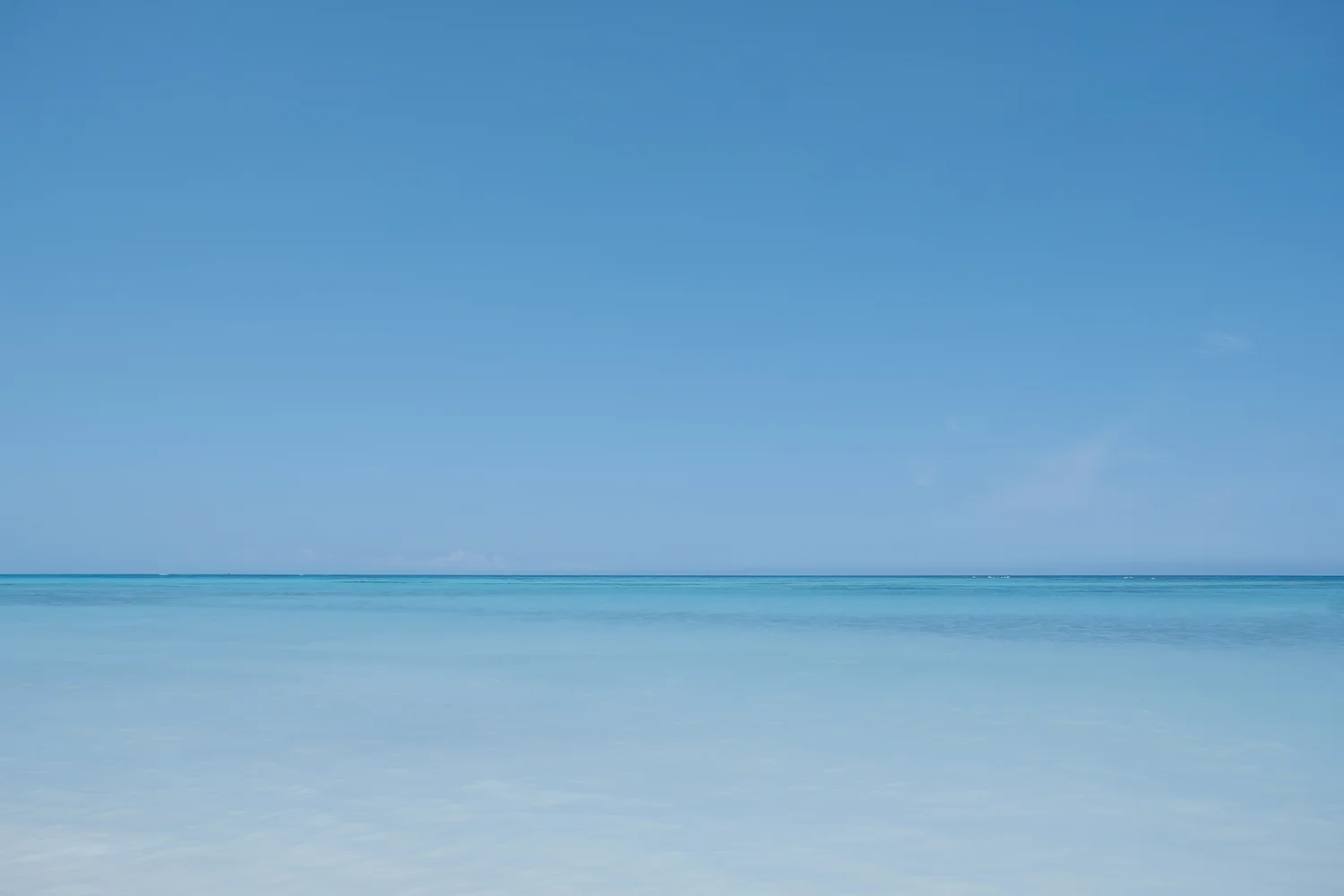 _DSF8791-2.jpg