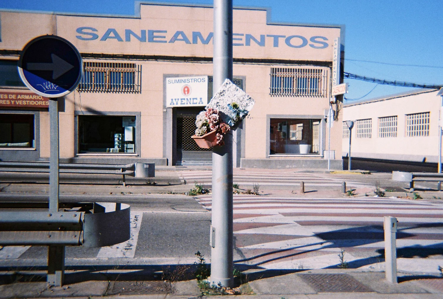 4694020.JPG