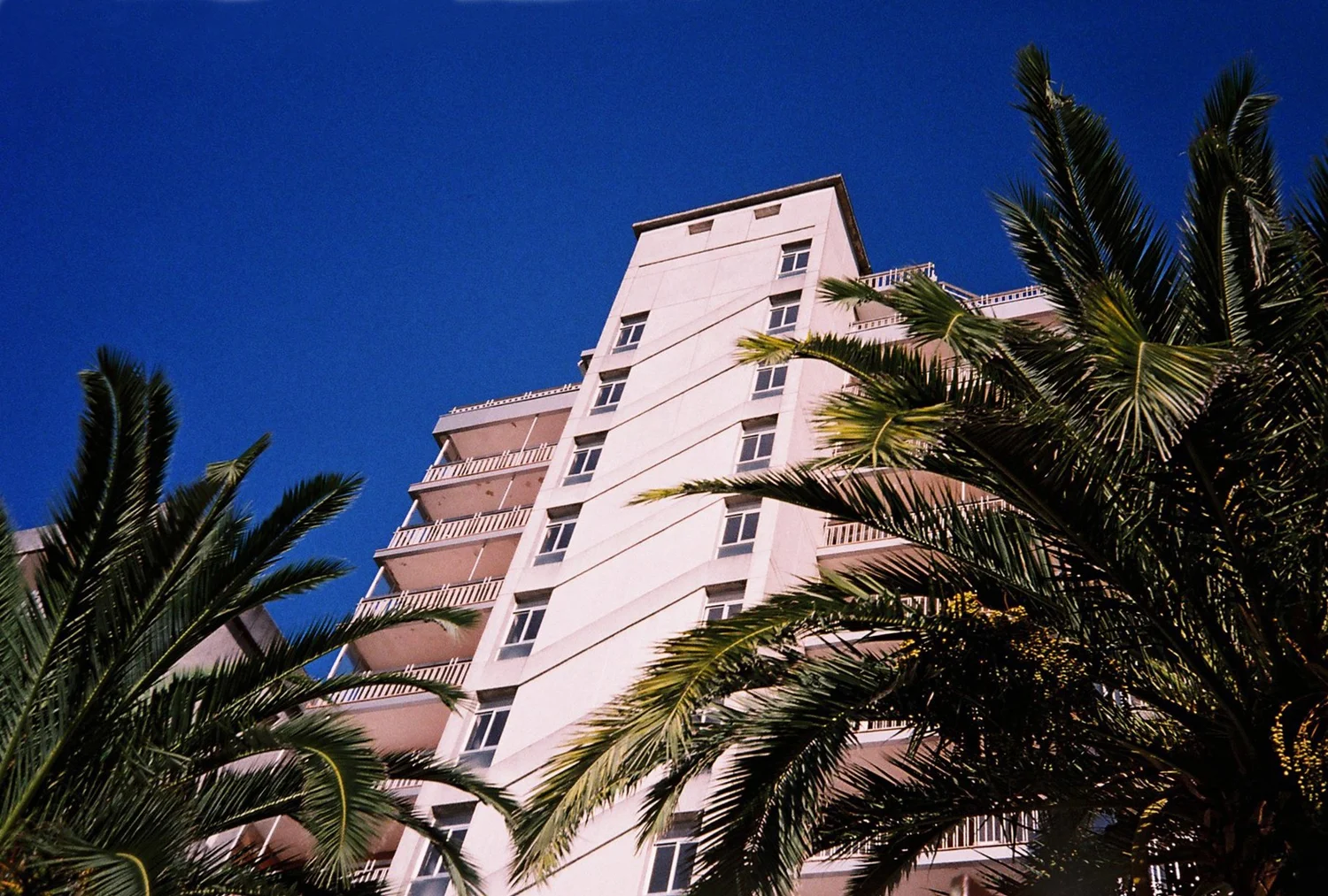 051501.JPG