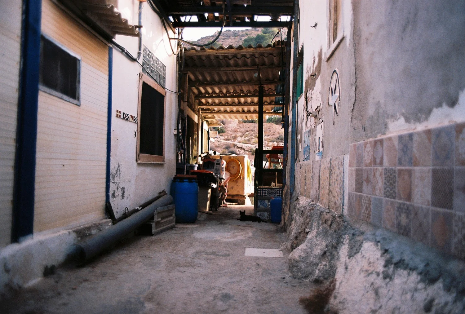 780429.JPG