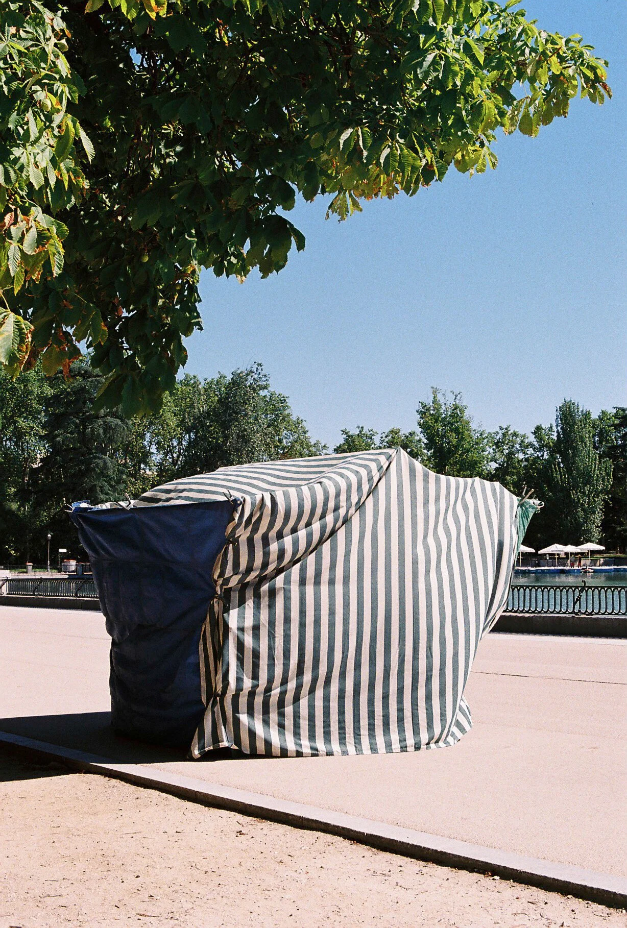 813235.JPG