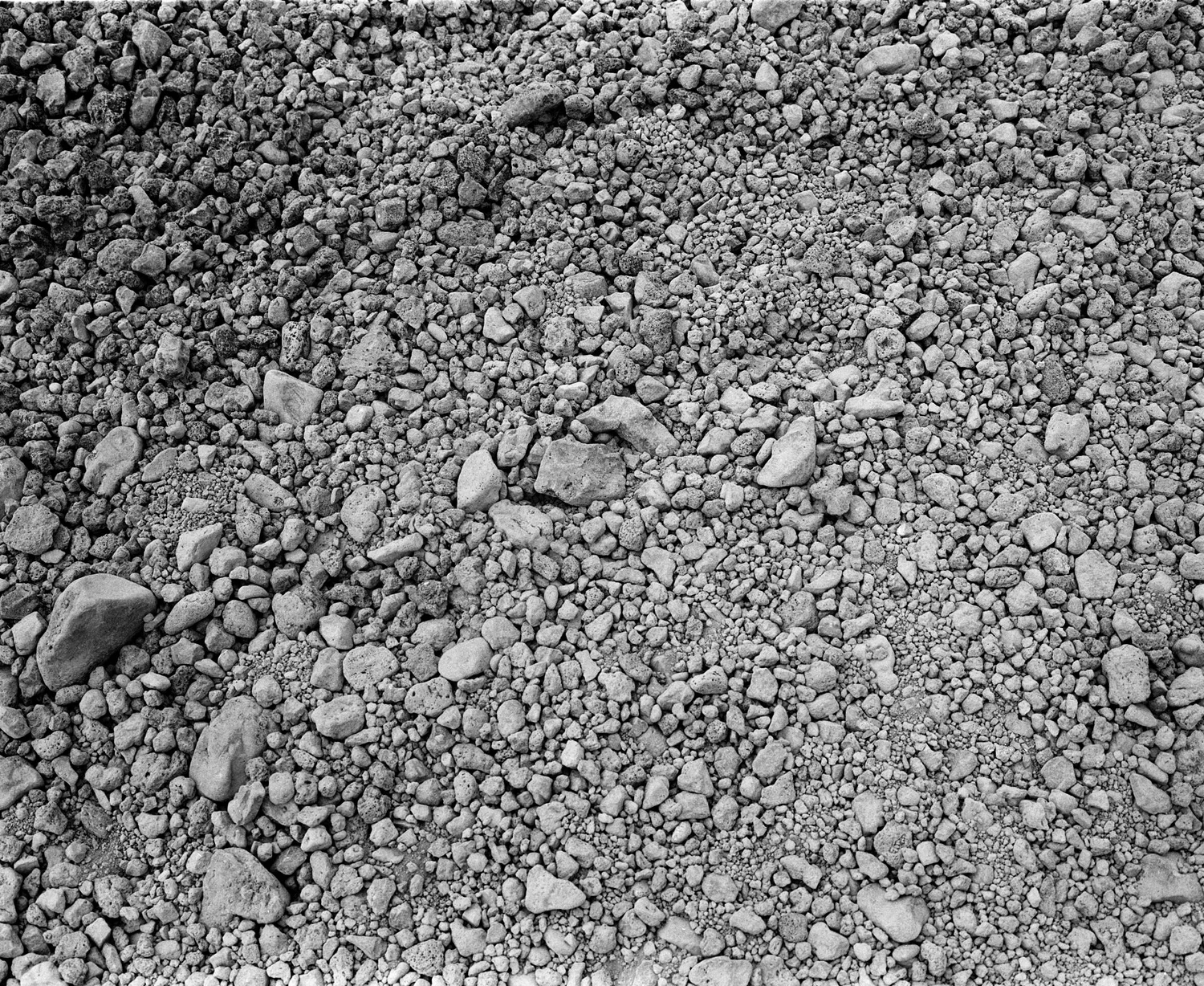 Scan 003.JPG