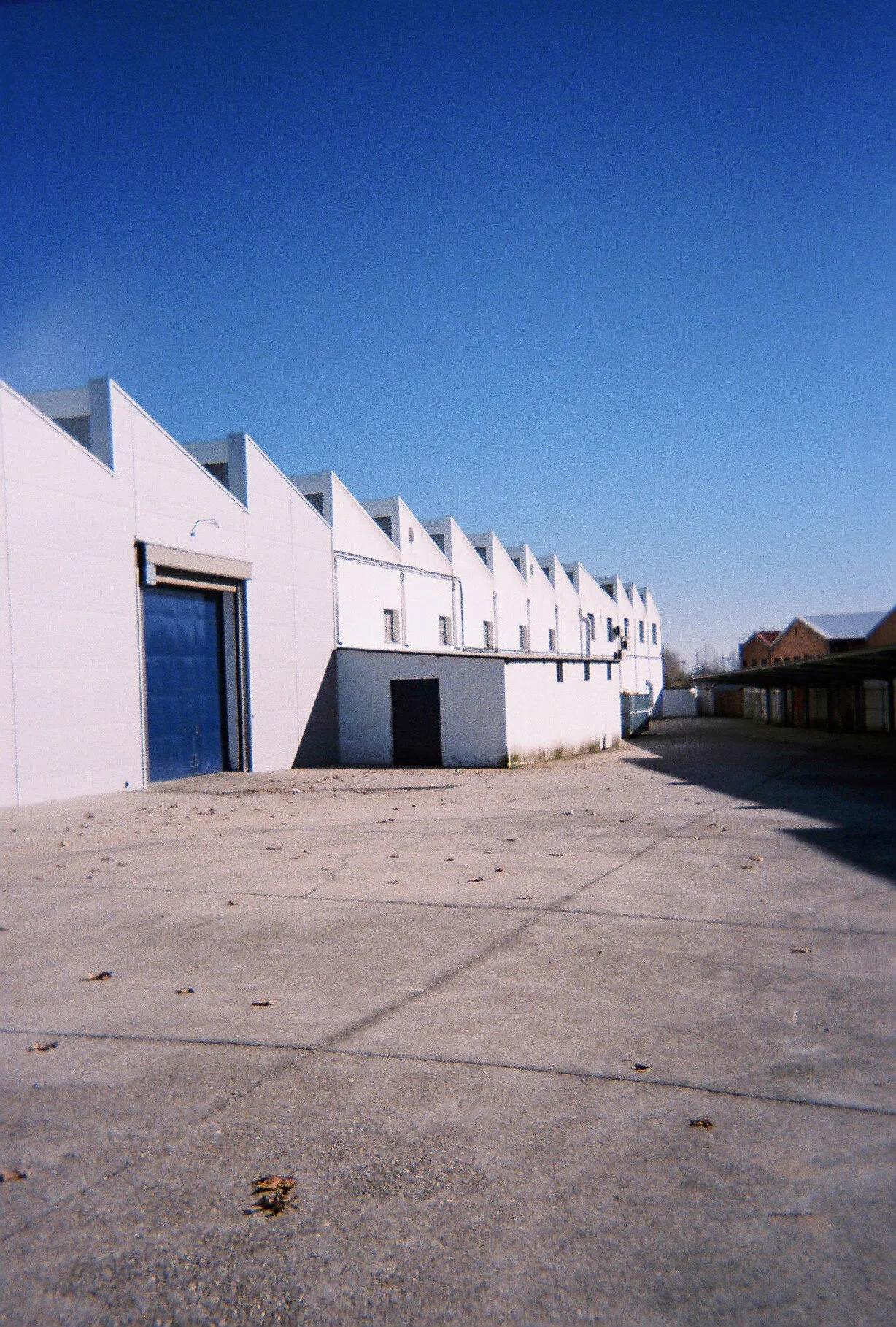 4694016.JPG