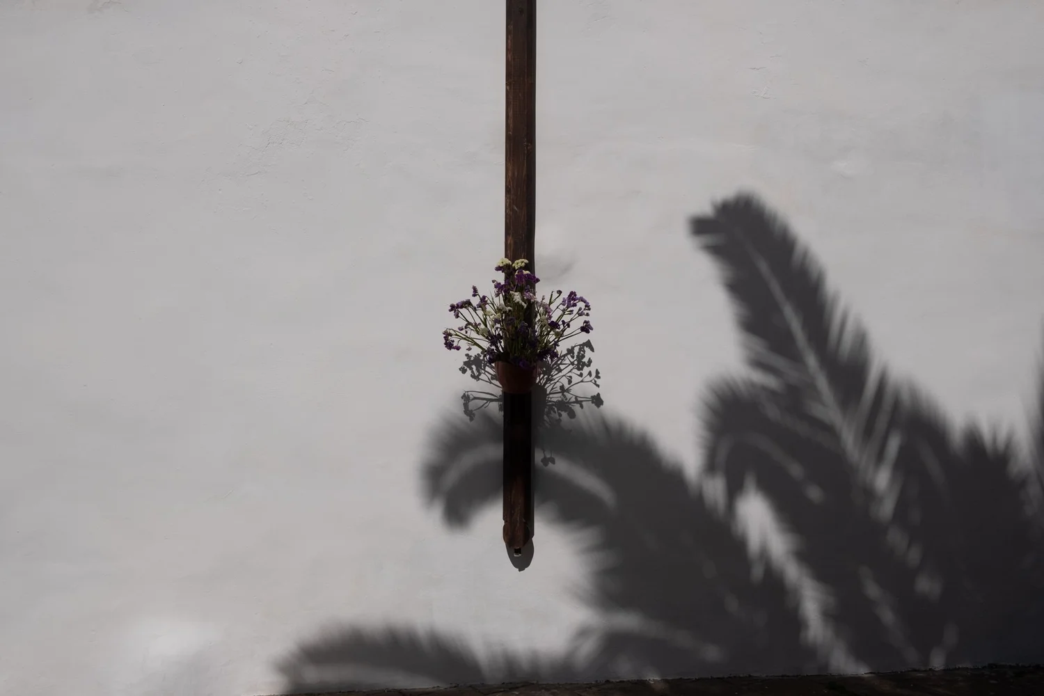 _DSF7619-2.jpg