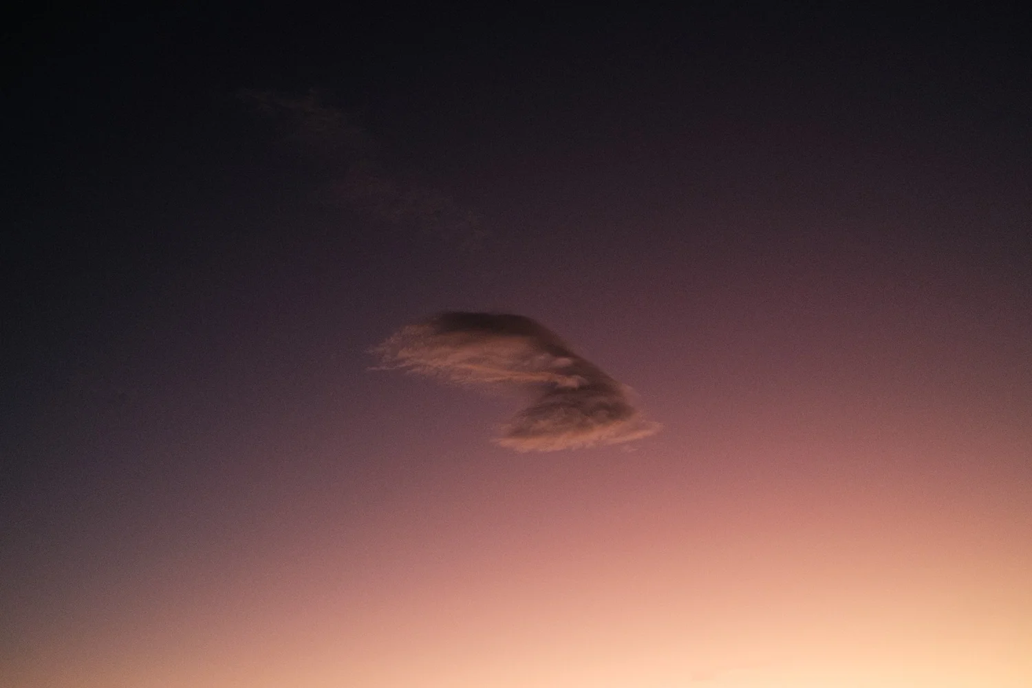 _DSF5299-Edit.jpg