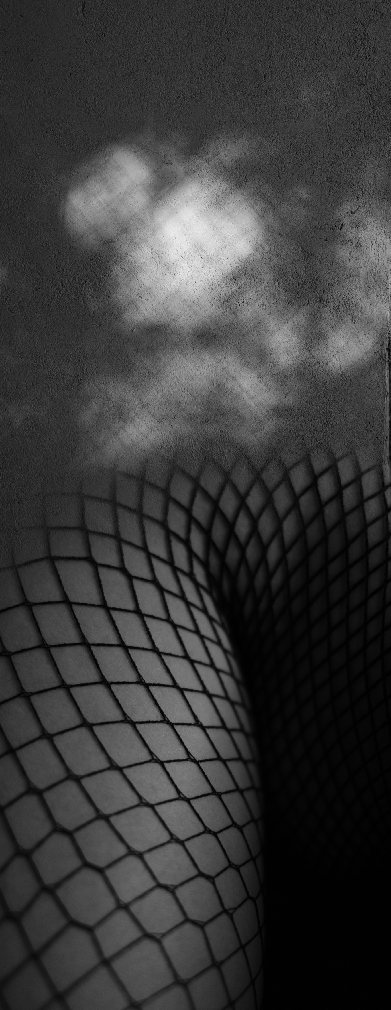 _DSF0442-2.png