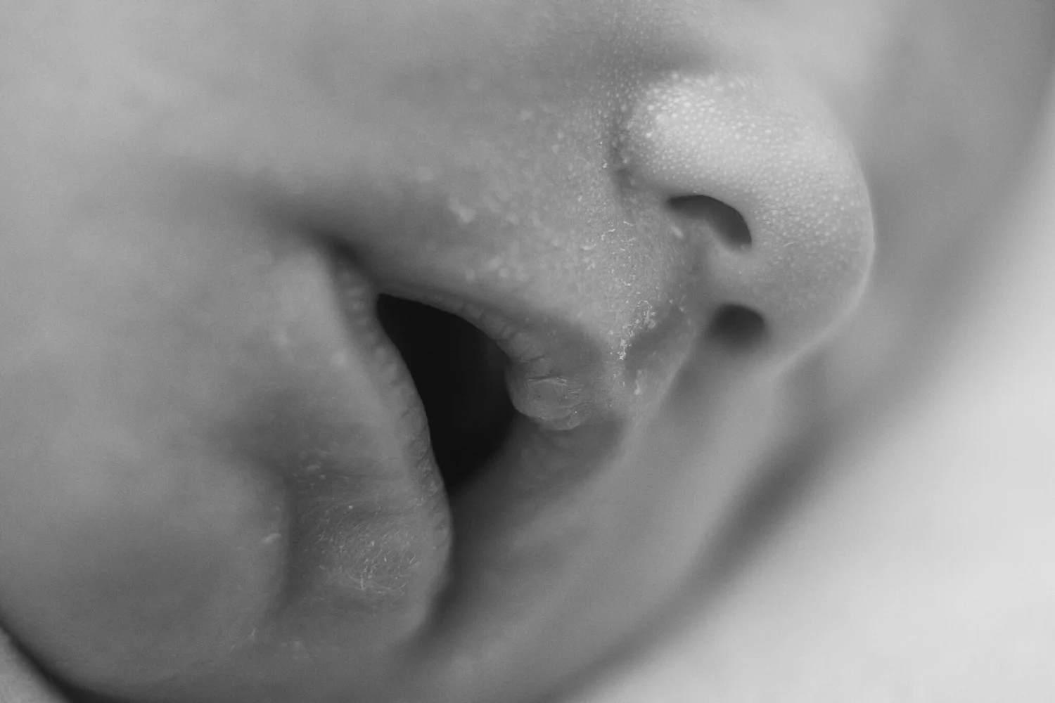 _CA29151.jpg