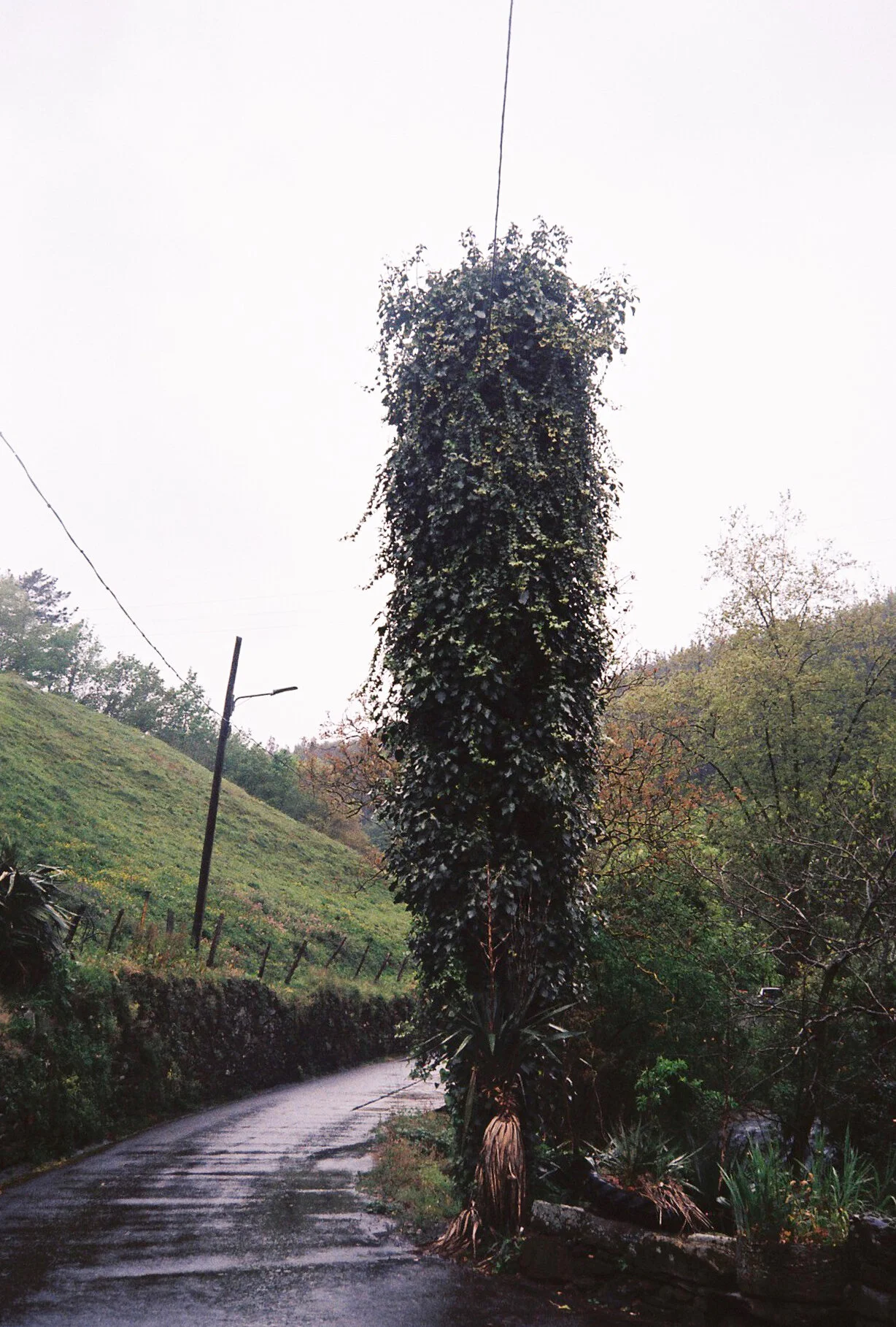 03.JPG