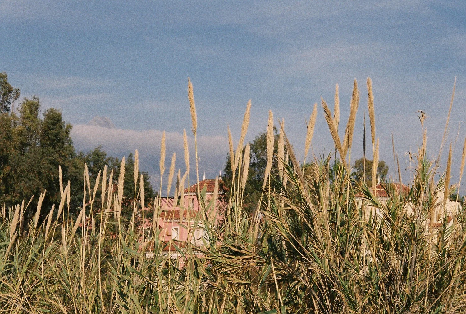 092305.JPG