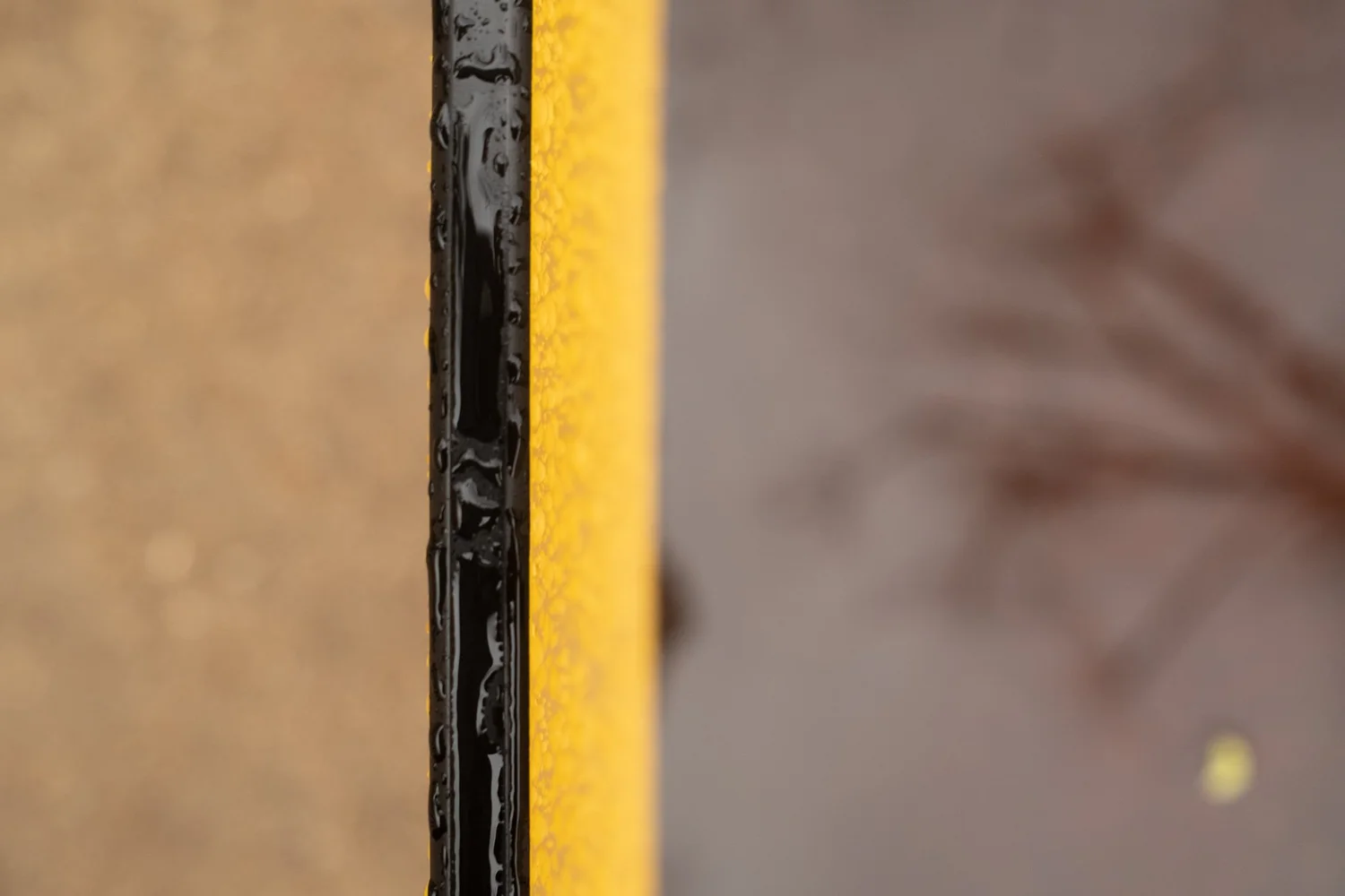 _DSF2446.jpg