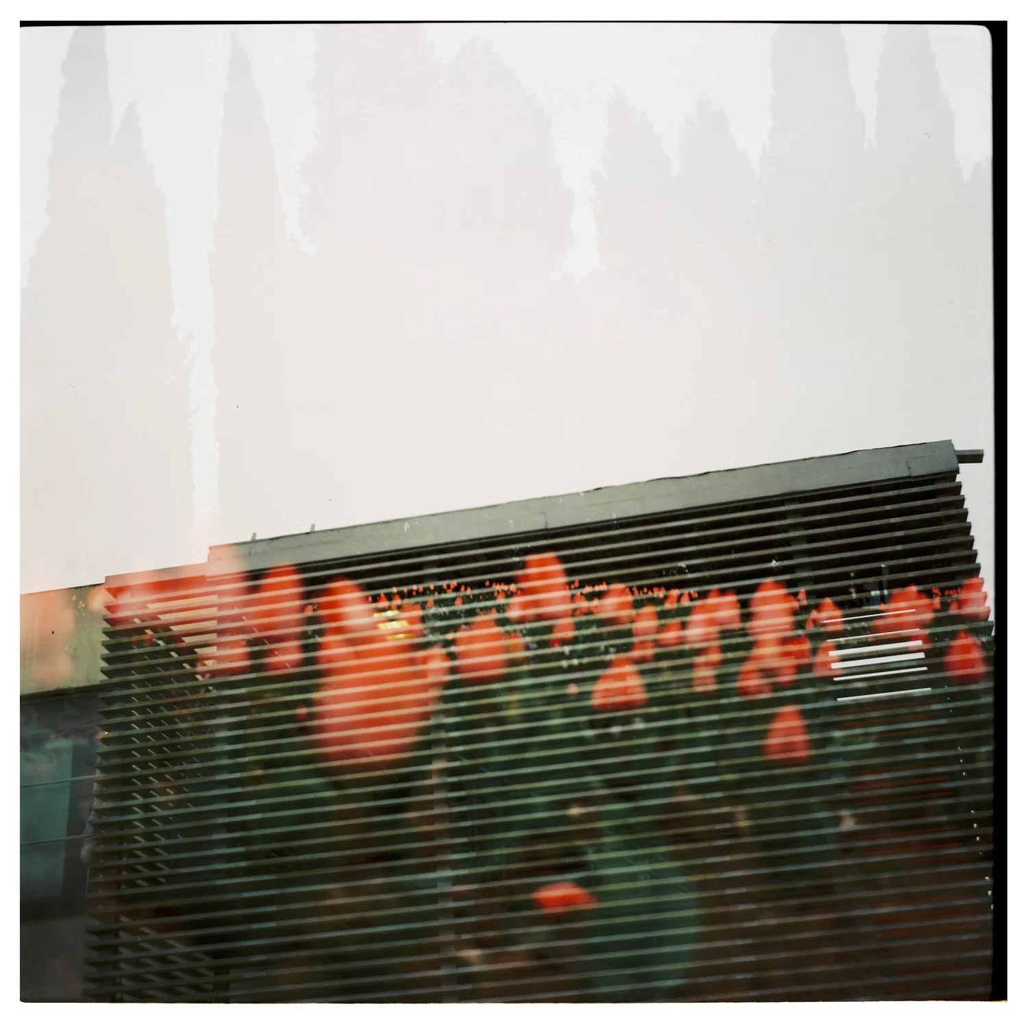101883_011.JPG