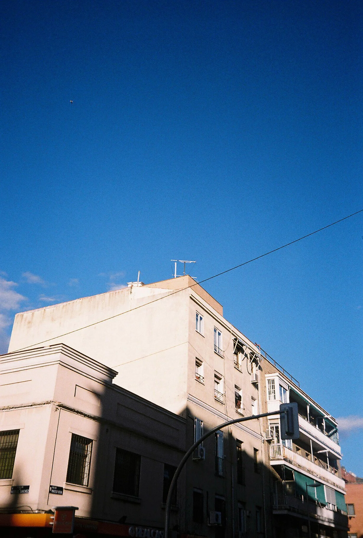 867516.JPG