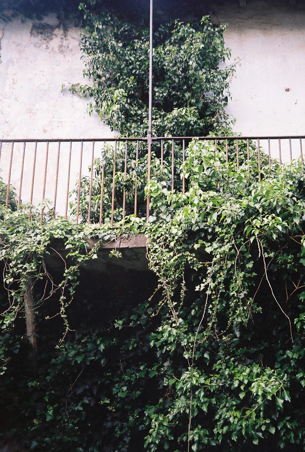 01.JPG