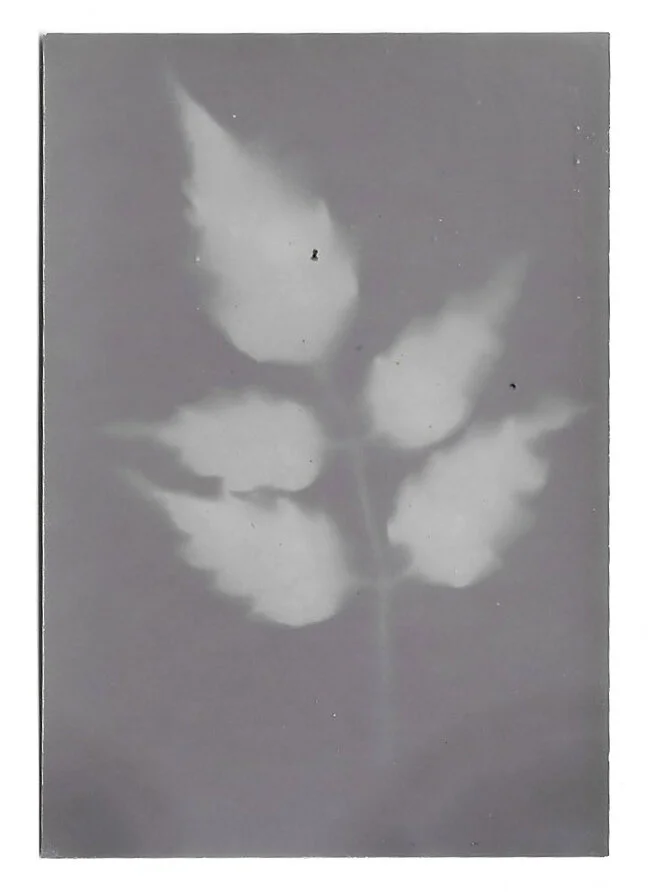Lumen6.jpg