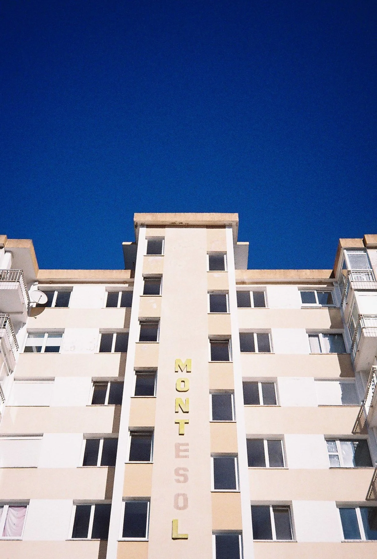 726736.JPG